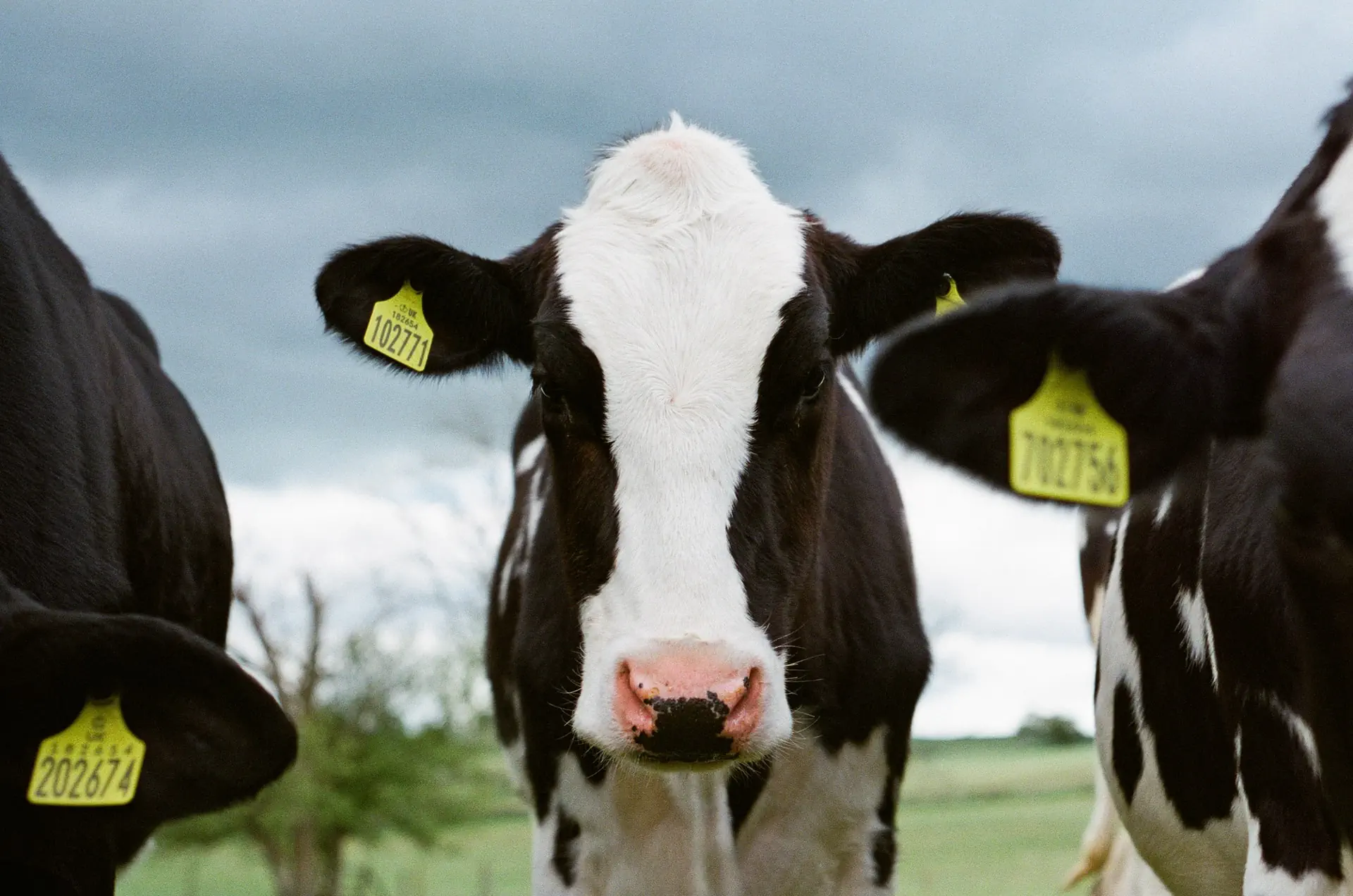 Header banner of 'Major Negative Effects of Industrial Agriculture (Including Solutions)'