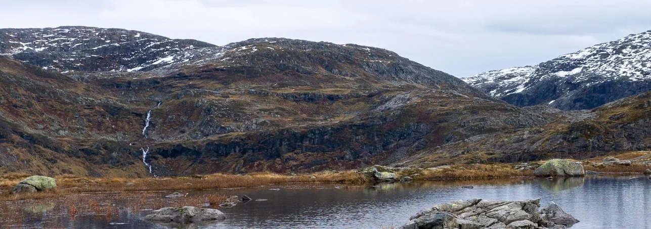 Header banner of 'What Does Carbon Sink Mean?'