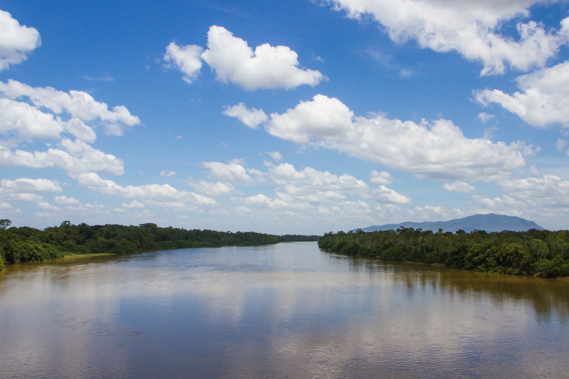River in the Amazon Pixabay
