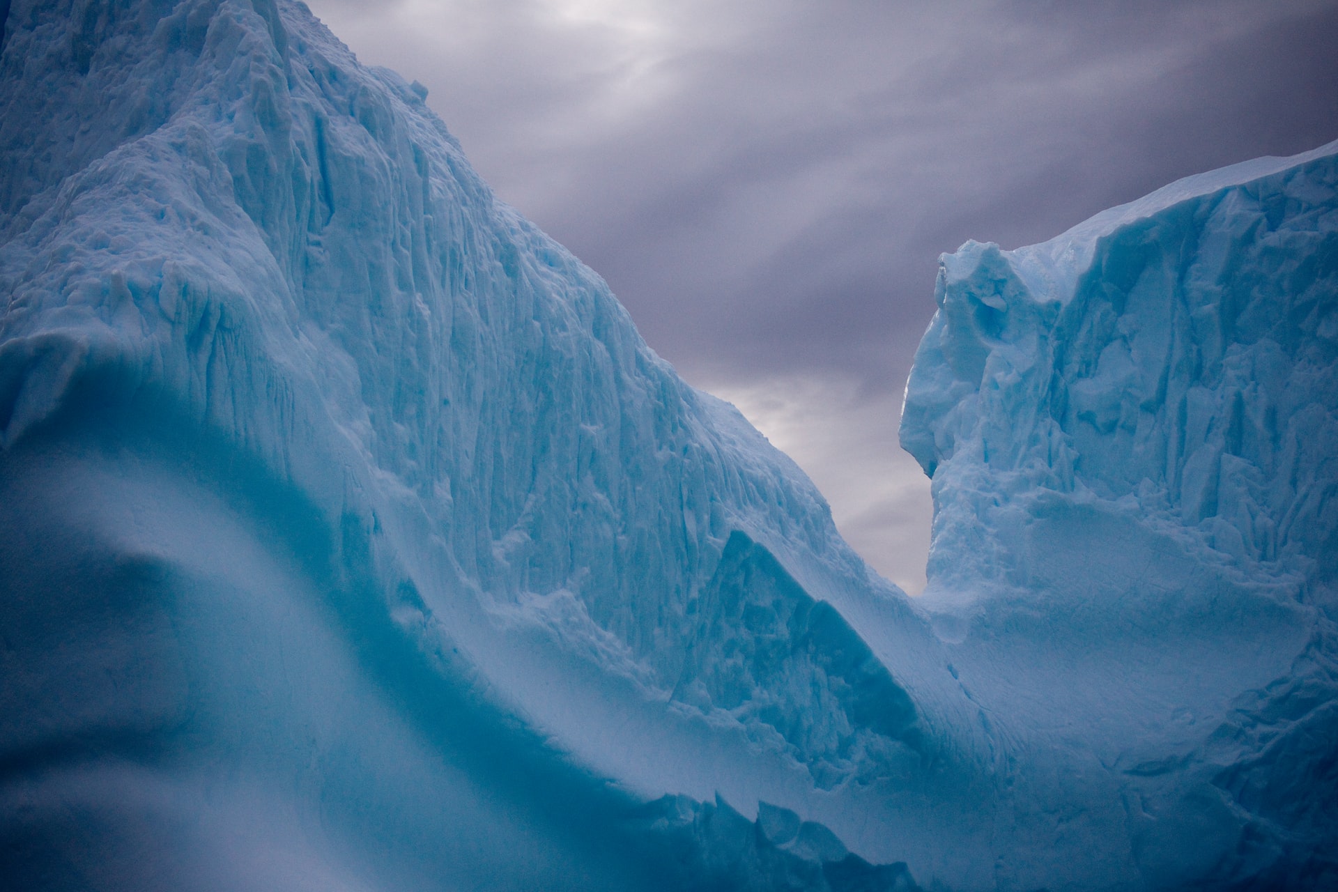 Header banner of 'Find out 5 Ways the Loss of Arctic Sea Ice Will Affect Us'