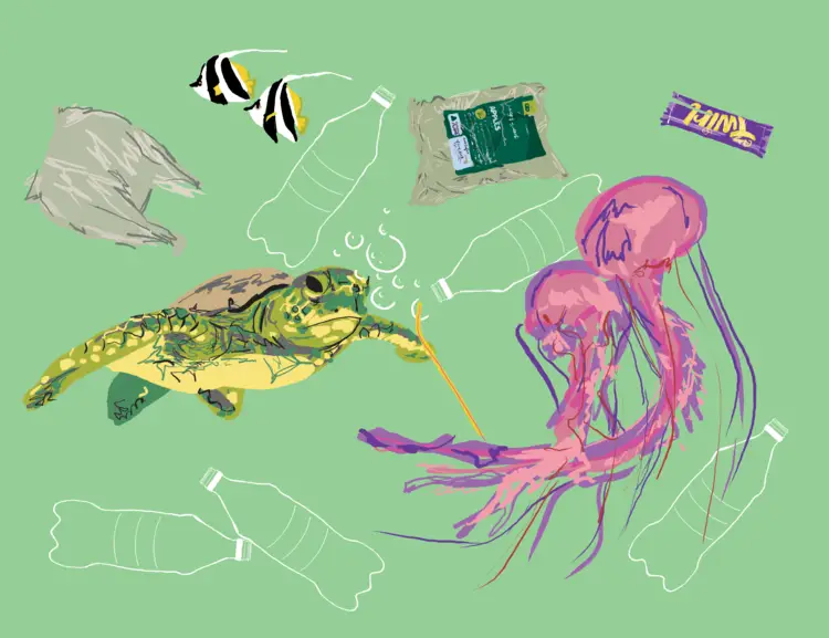 Turtle in the water with plastic from maryflorahart