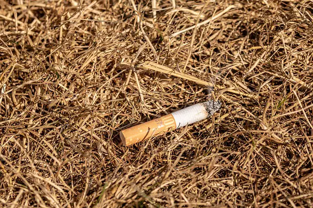 Cigarette butt fire hazard - pixabay