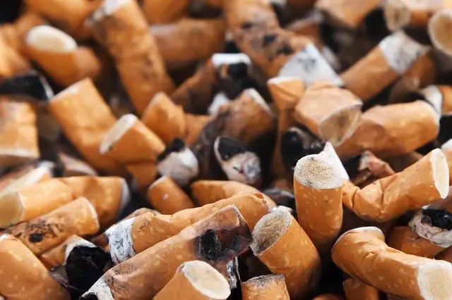 Cigarette butts - pixabay
