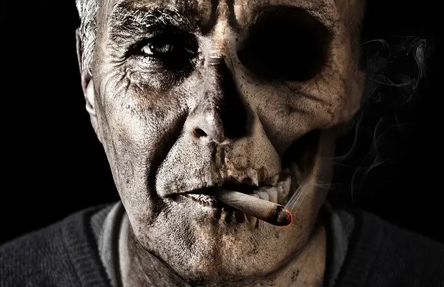 Man smoking tobacco - pixabay
