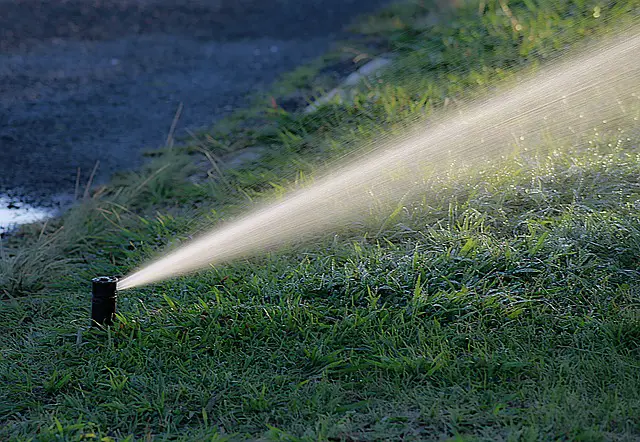 Farm relies on irrigation