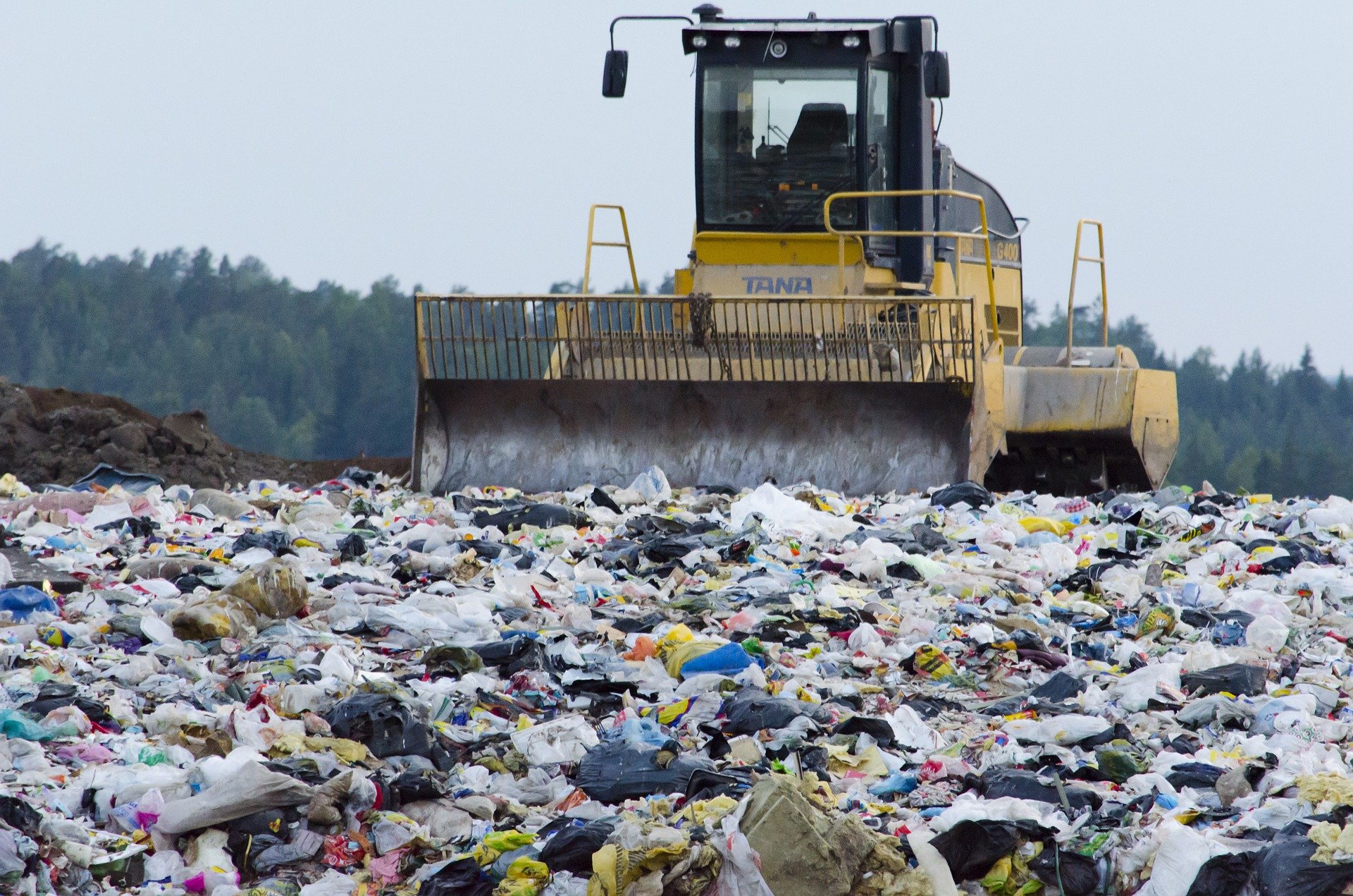 Header banner of 'The Effects Of Landfills On The Environment'