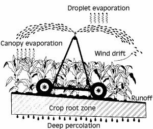 Crop root zone Source