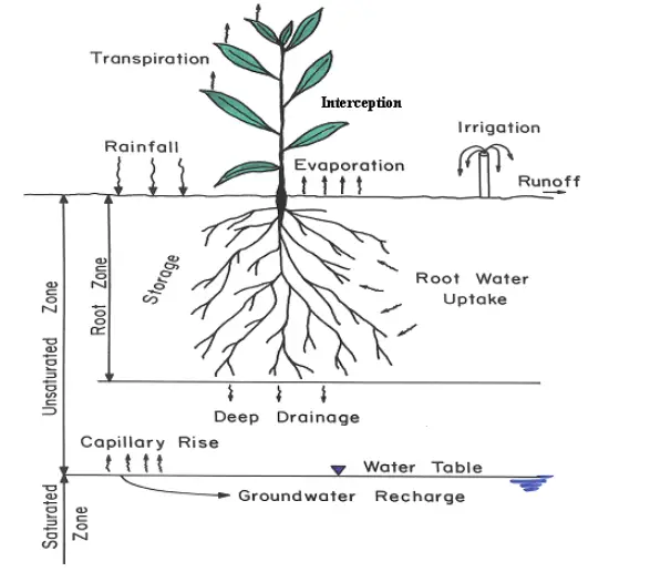 The evapotranspiration process Source