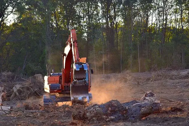 Deforestation machine at work. Pixabay
